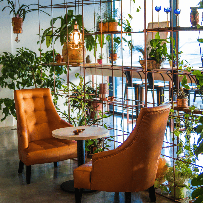Your Low-Maintenance Indoor Jungle: 20 Plants for Busy Lifestyles