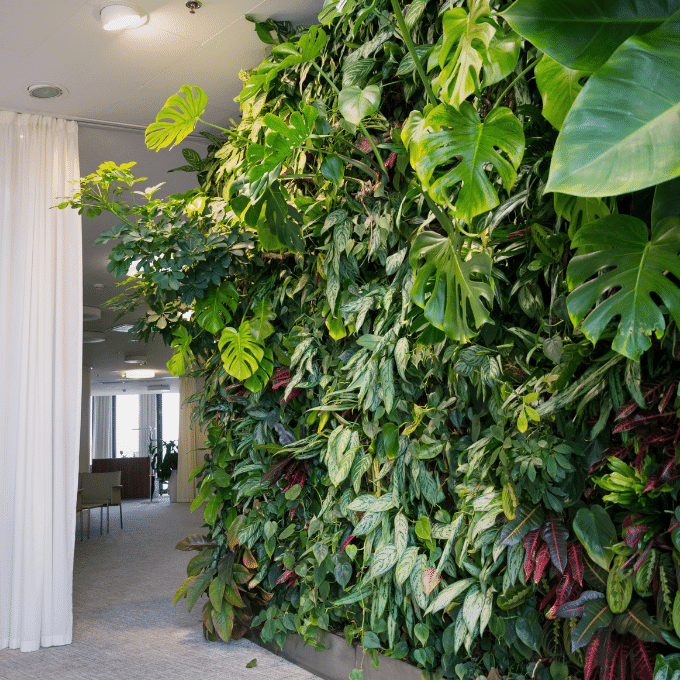 Elevate Your Space: A Step-by-Step Guide to Building a Stunning Living Plant Wall at Home